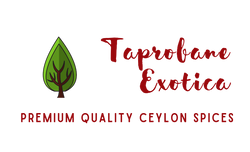 Taprobane Exotica logo highlighting its green and sustainable values