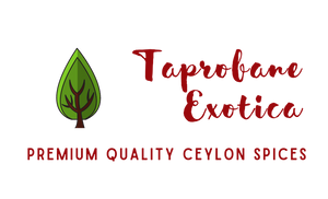 Taprobane Exotica logo highlighting its green and sustainable values
